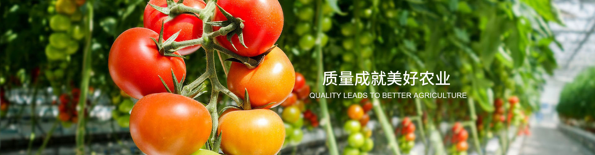 首页| 918博天堂集团中国官方网站
