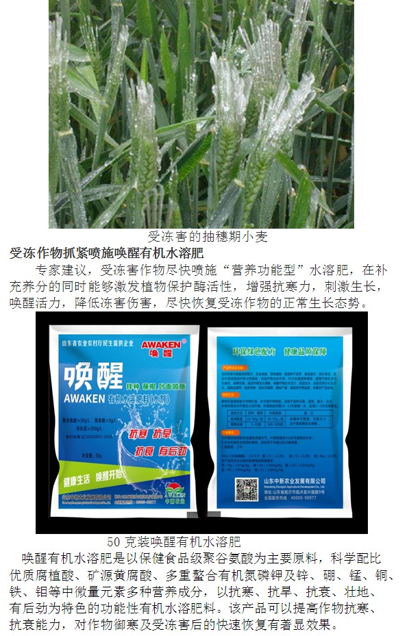 首页| 918博天堂集团中国官方网站