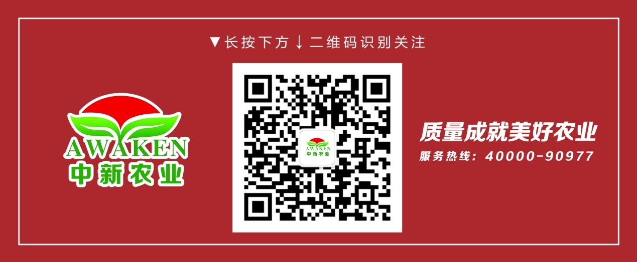 首页| 918博天堂集团中国官方网站