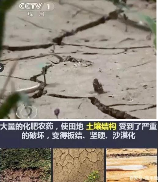 首页| 918博天堂集团中国官方网站