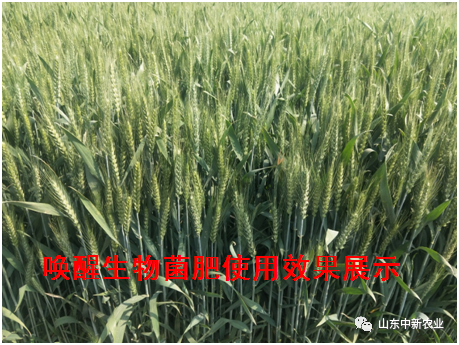 20200514104629_98386 首页| 918博天堂集团中国官方网站