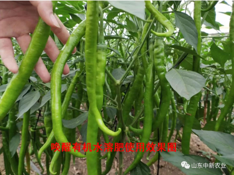 20200514105550_77058 首页| 918博天堂集团中国官方网站