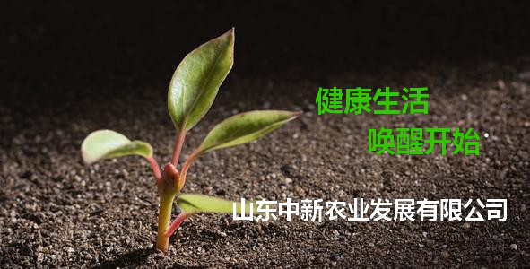 首页| 918博天堂集团中国官方网站