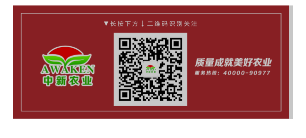 首页| 918博天堂集团中国官方网站
