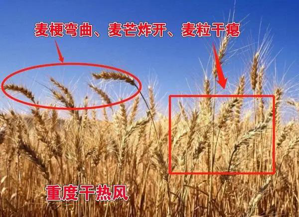 20210507150956_12023 首页| 918博天堂集团中国官方网站