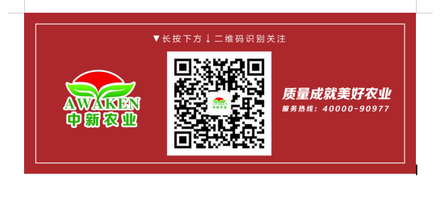 首页| 918博天堂集团中国官方网站
