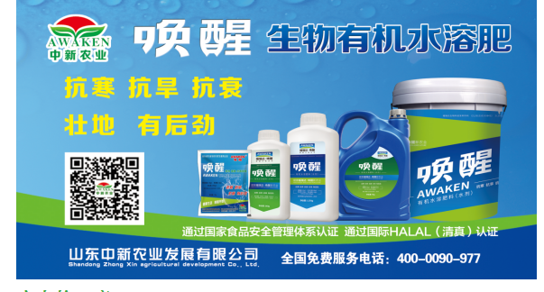 唤醒有机水溶肥为您的幼麦丰登保驾护航