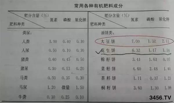 首页| 918博天堂集团中国官方网站